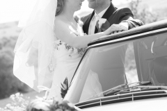 Hochzeit, Wedding, Trauung, Heiratsfotos, Hochzeitsfotos